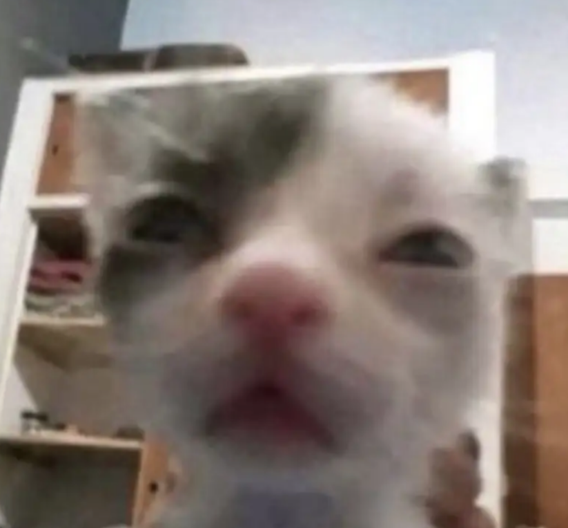 1000002269.png