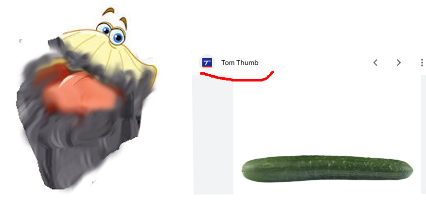 Ashley ansd Tom Thumb.jpg