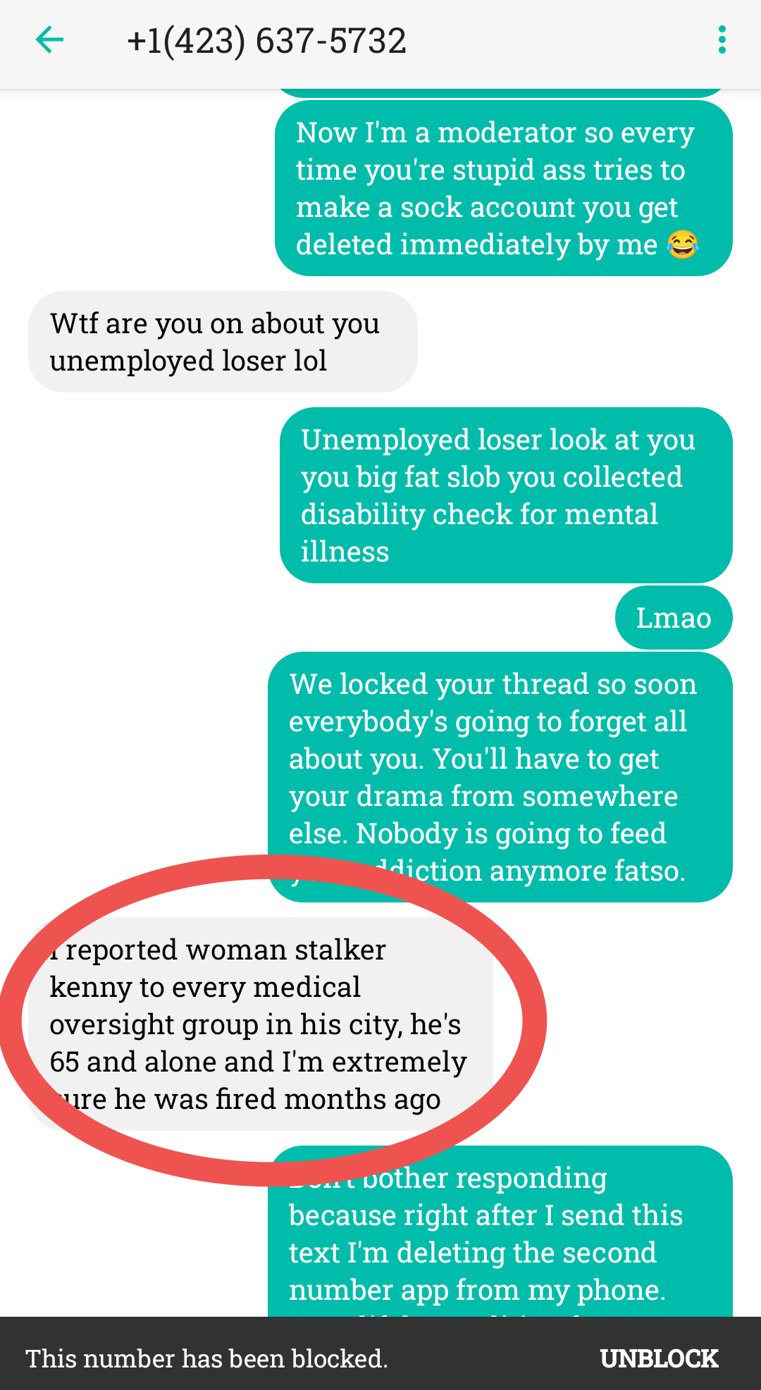 Ashley on a crusade.png