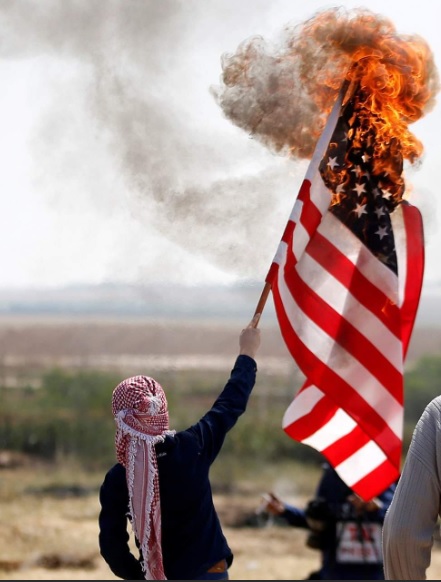 AverageNullPostAmerimutt02.jpg