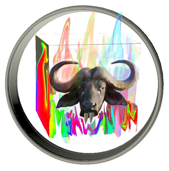 Buffalo Cube.jpg