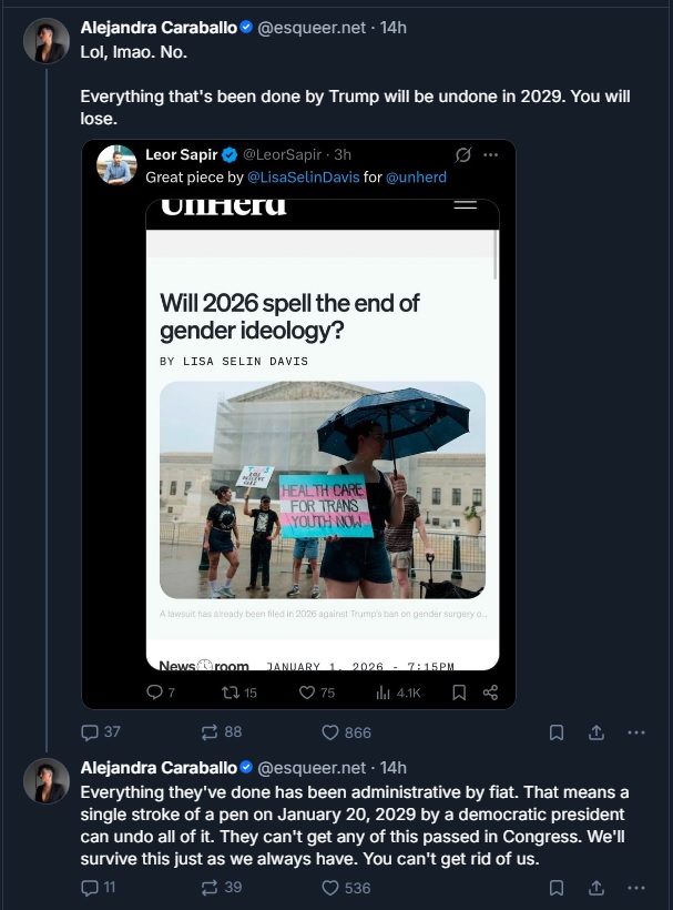 EsqueerTotalDetroonification2026.jpg