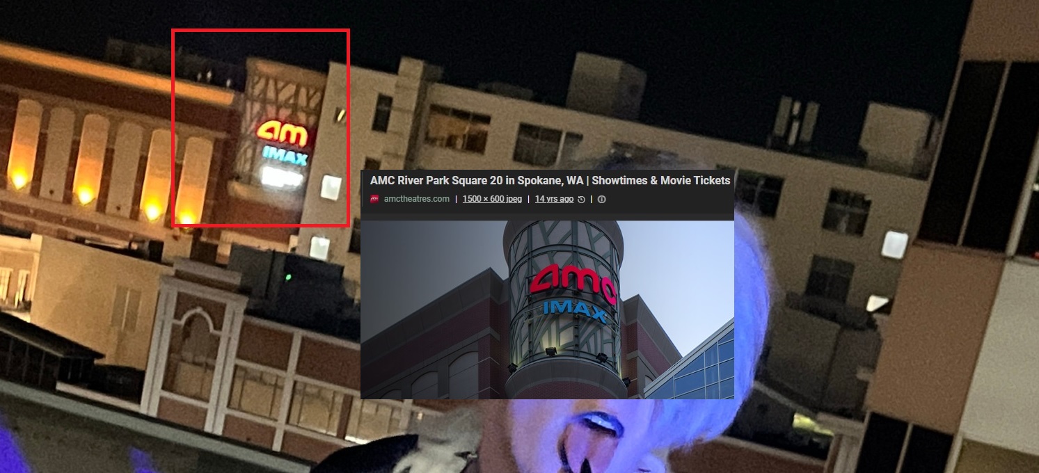 JordanBlackCatOnRoof.jpg