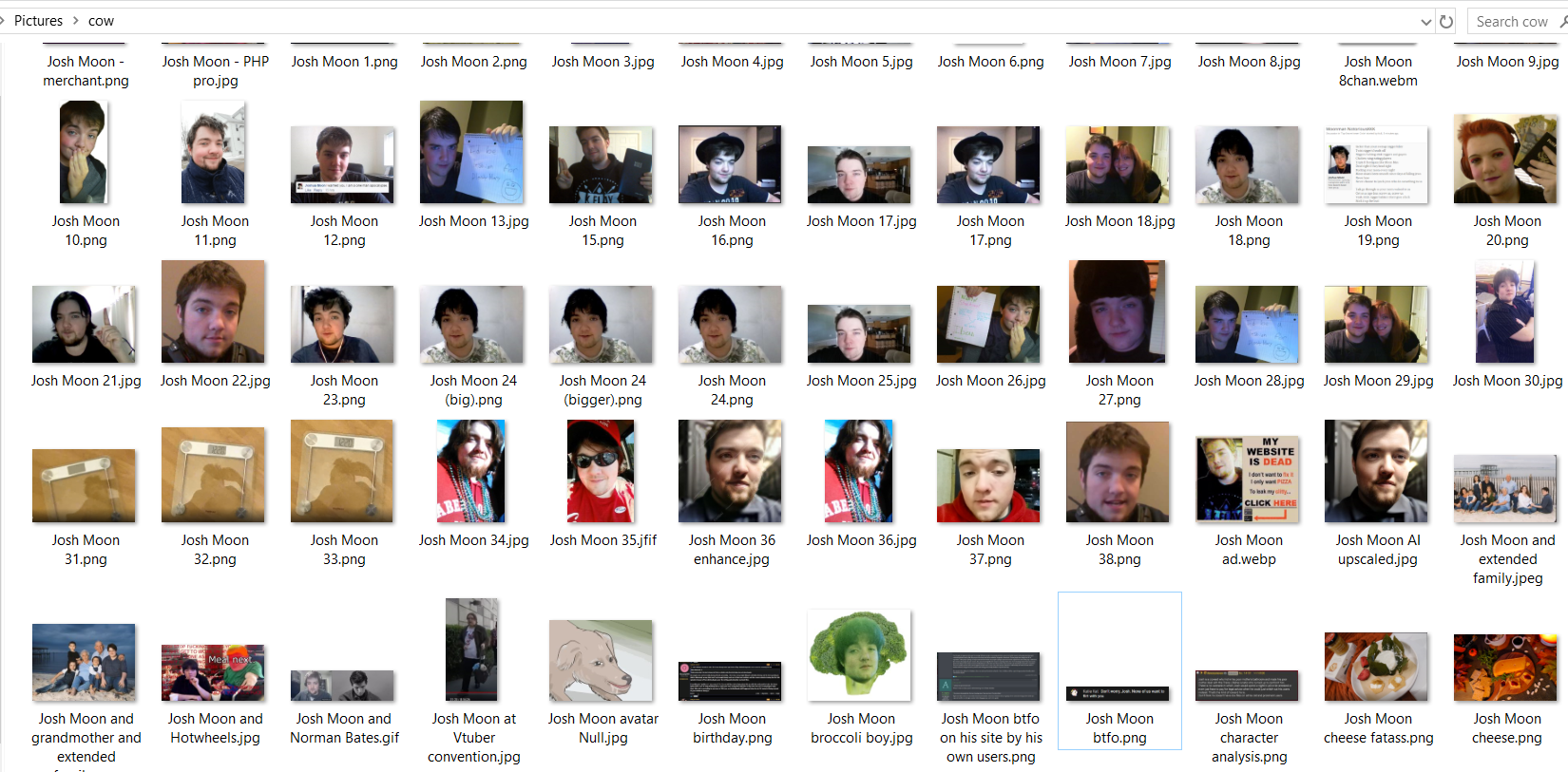 my files.png
