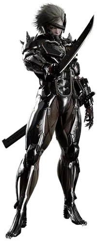 Raiden_Metal_Gear_Rising.webp