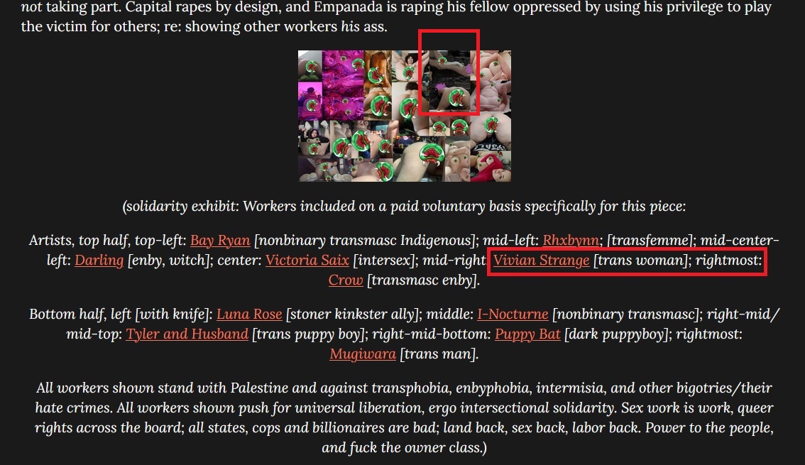 VanderWaardBadEmpanadaEssayVivianStrangeSolidaryExhibit.jpg