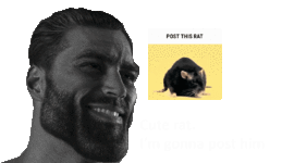 cute rat.gif