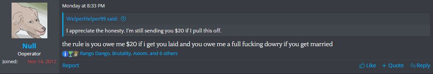 null 2.png