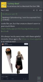IMG_6549.jpeg
