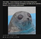 terf 4.png