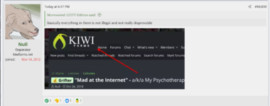 null 5.png