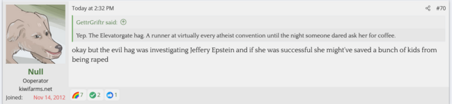 feminist 2.png