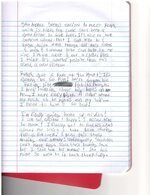 Vickers Diary_37.jpg