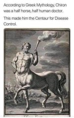 5f1873891ff4a.jpeg