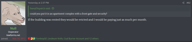 null 2.png