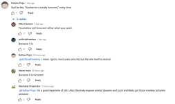 youtube 13.png