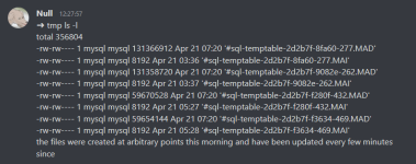 joshyshitcoder.png