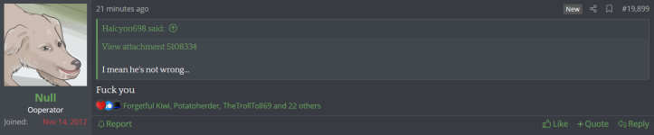null 3.png