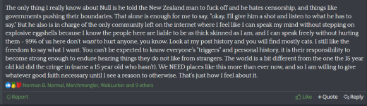 null simps 6.png