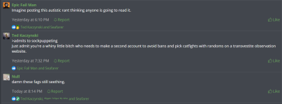 null simps 2.png