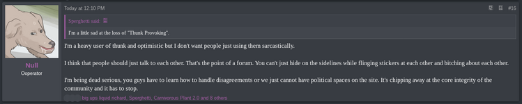 ns1.png