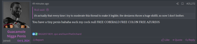 null 5.png
