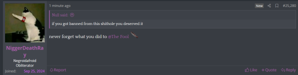 the fool.png