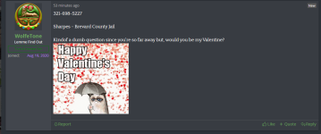 LOLOLOLOL.png