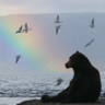 Bear Hammer