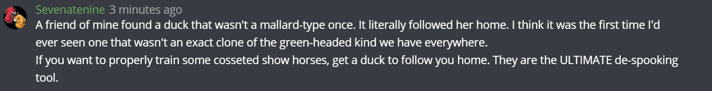 duck.png